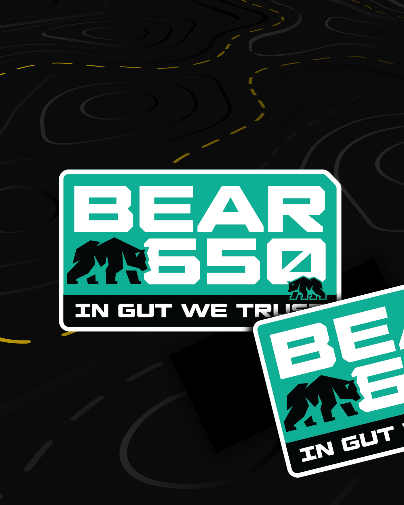 RE Bear 650 Stickers