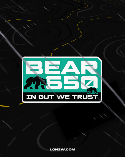 RE Bear 650 Combo Sticker | Pack of 2